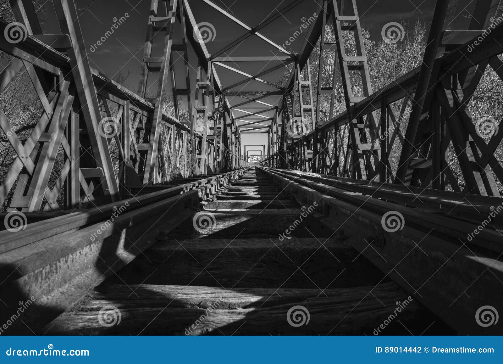 puente negro