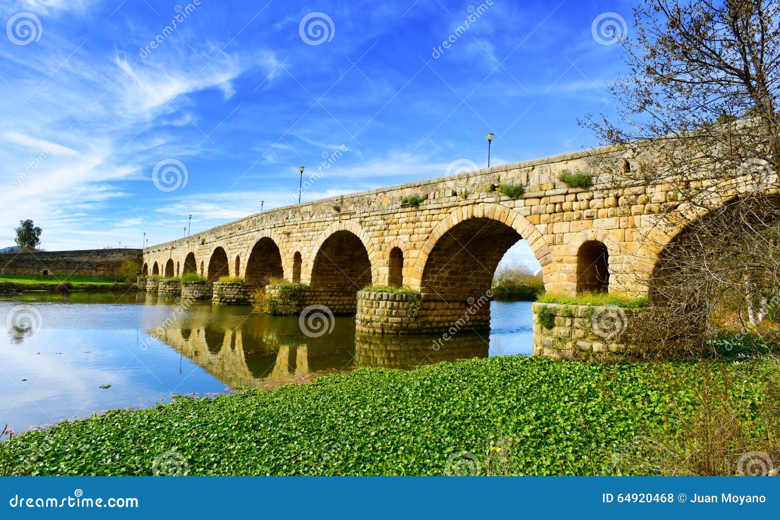 puente romano bridge in merida, spain