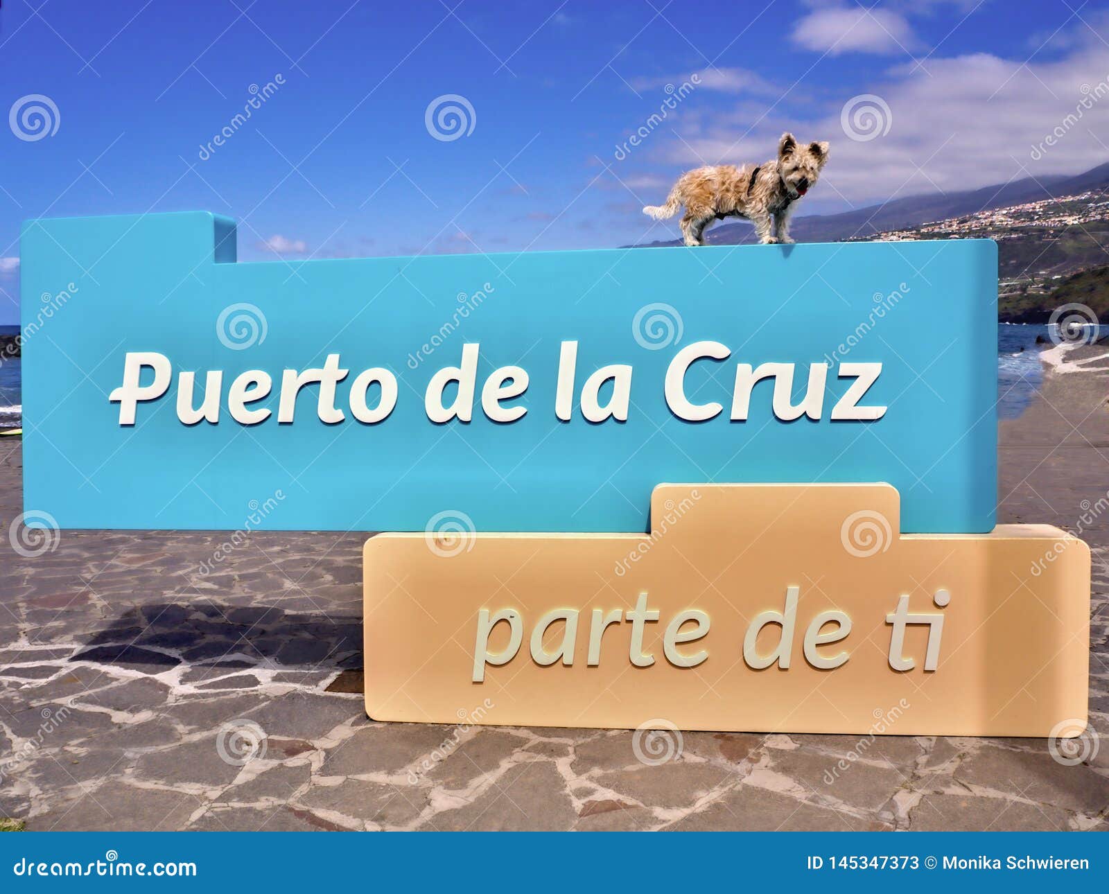 puerto de la cruz parte de ti a part of you slogan with a little dog above