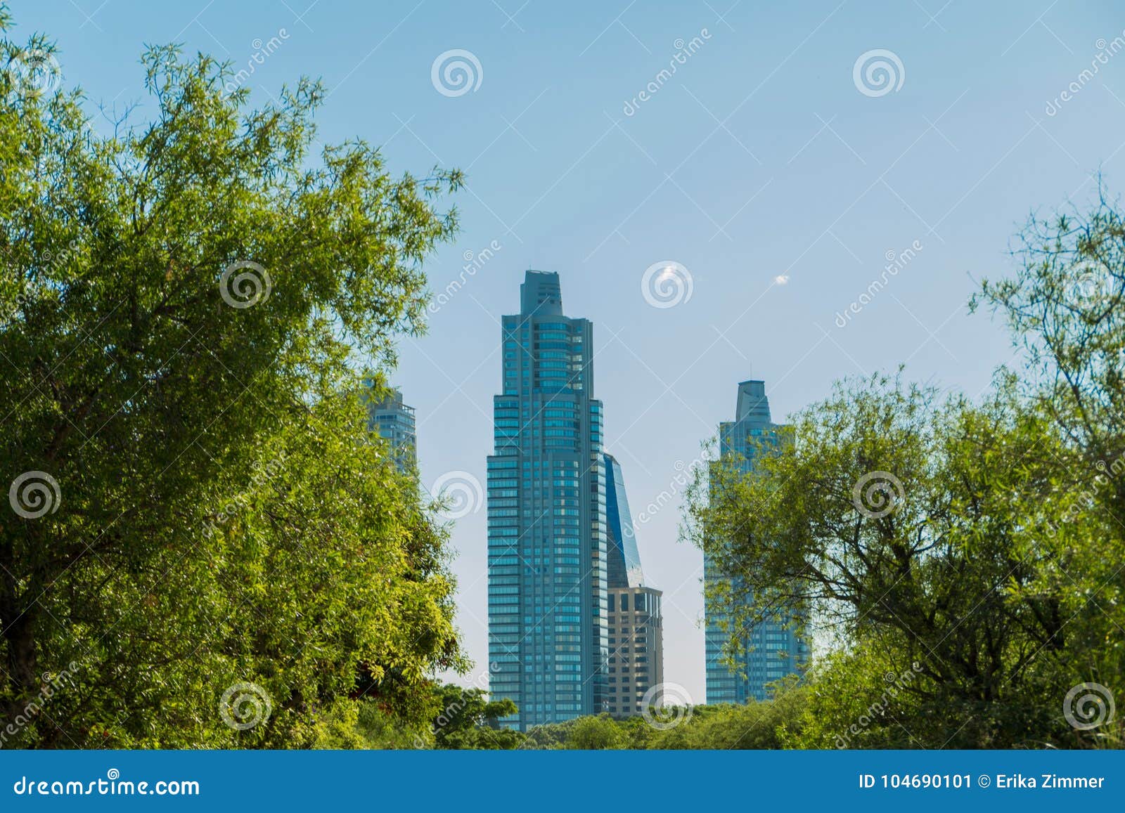 puerto madero buildings framed by nature, green trees