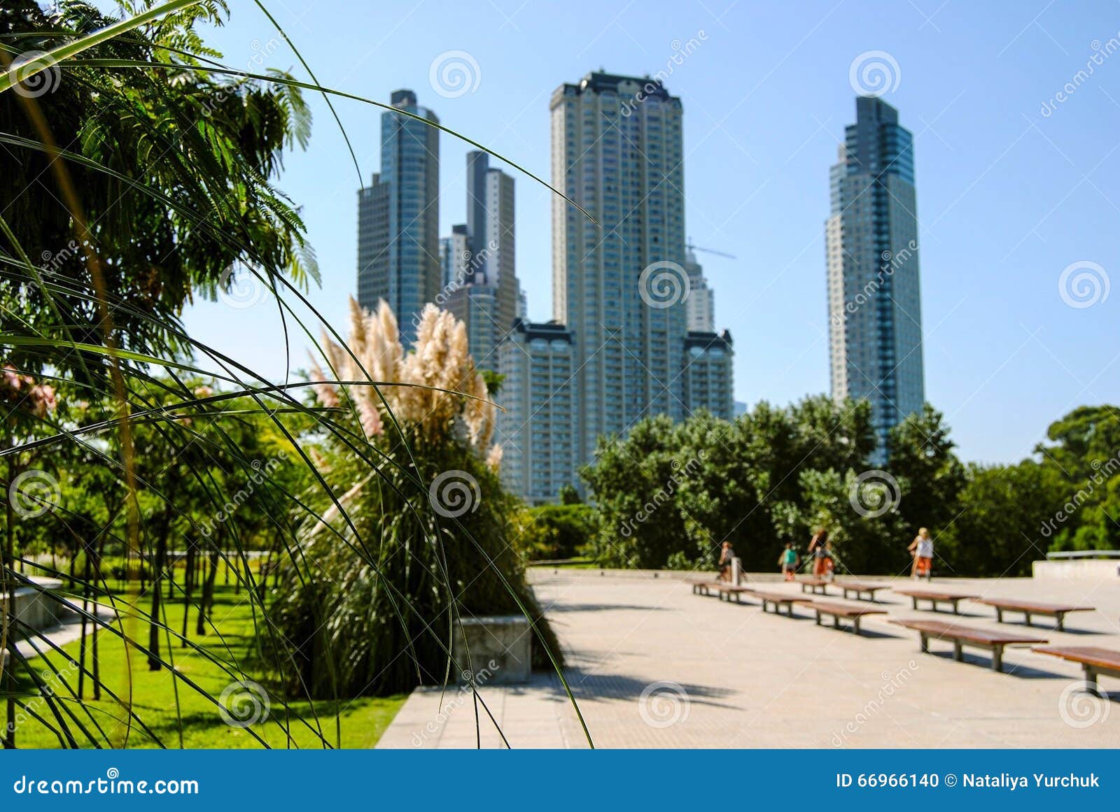 Puerto Madero an der Dämmerung. Park an der Stadt Buenos Aires, Argentinien