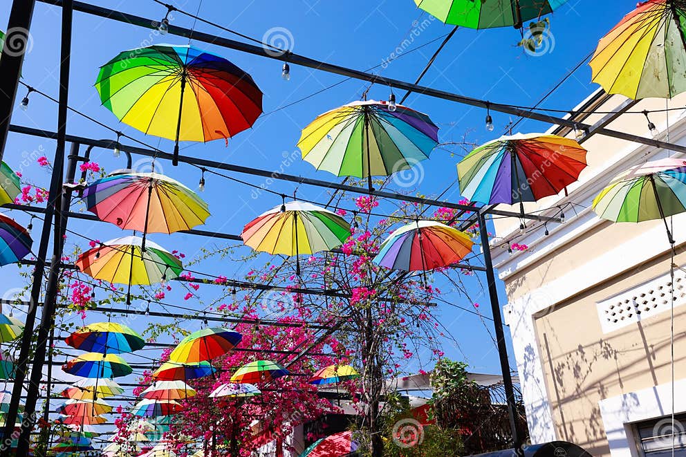 Colorful Umbrella Decorationa Street Decorated with Colorful Umbrellas