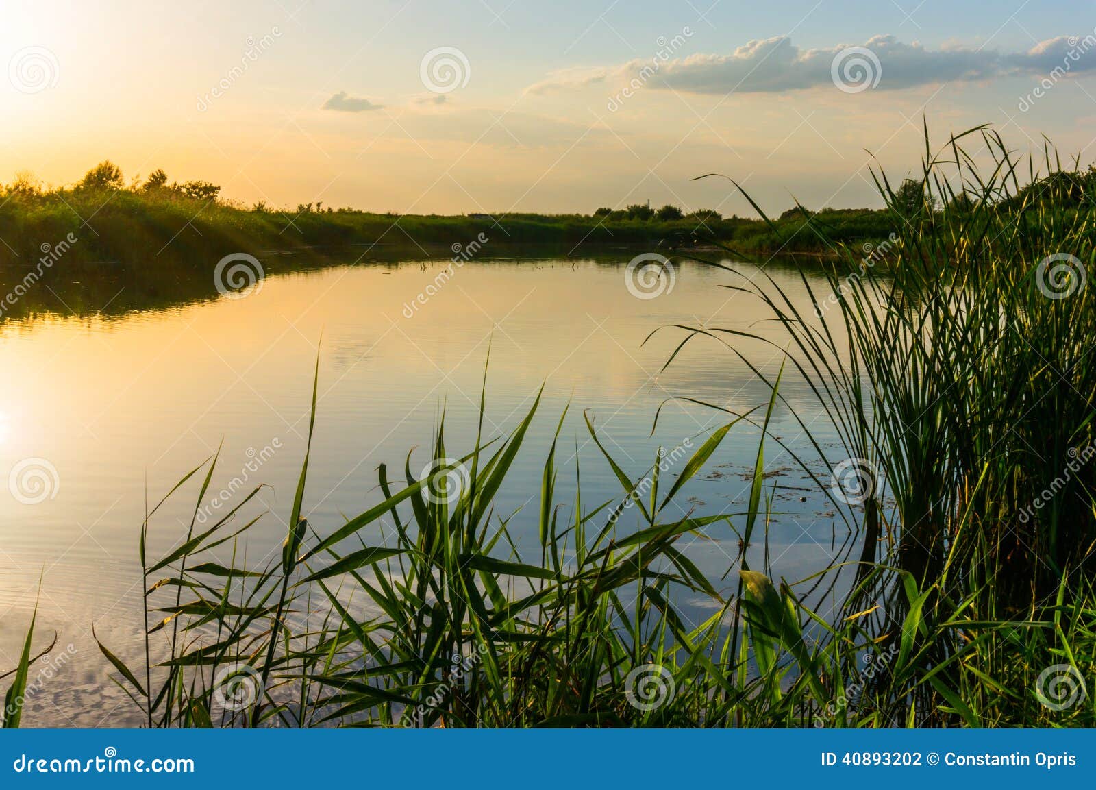 Puesta del sol rocosa del lago. Puesta del sol sobre el lago y la vegetación