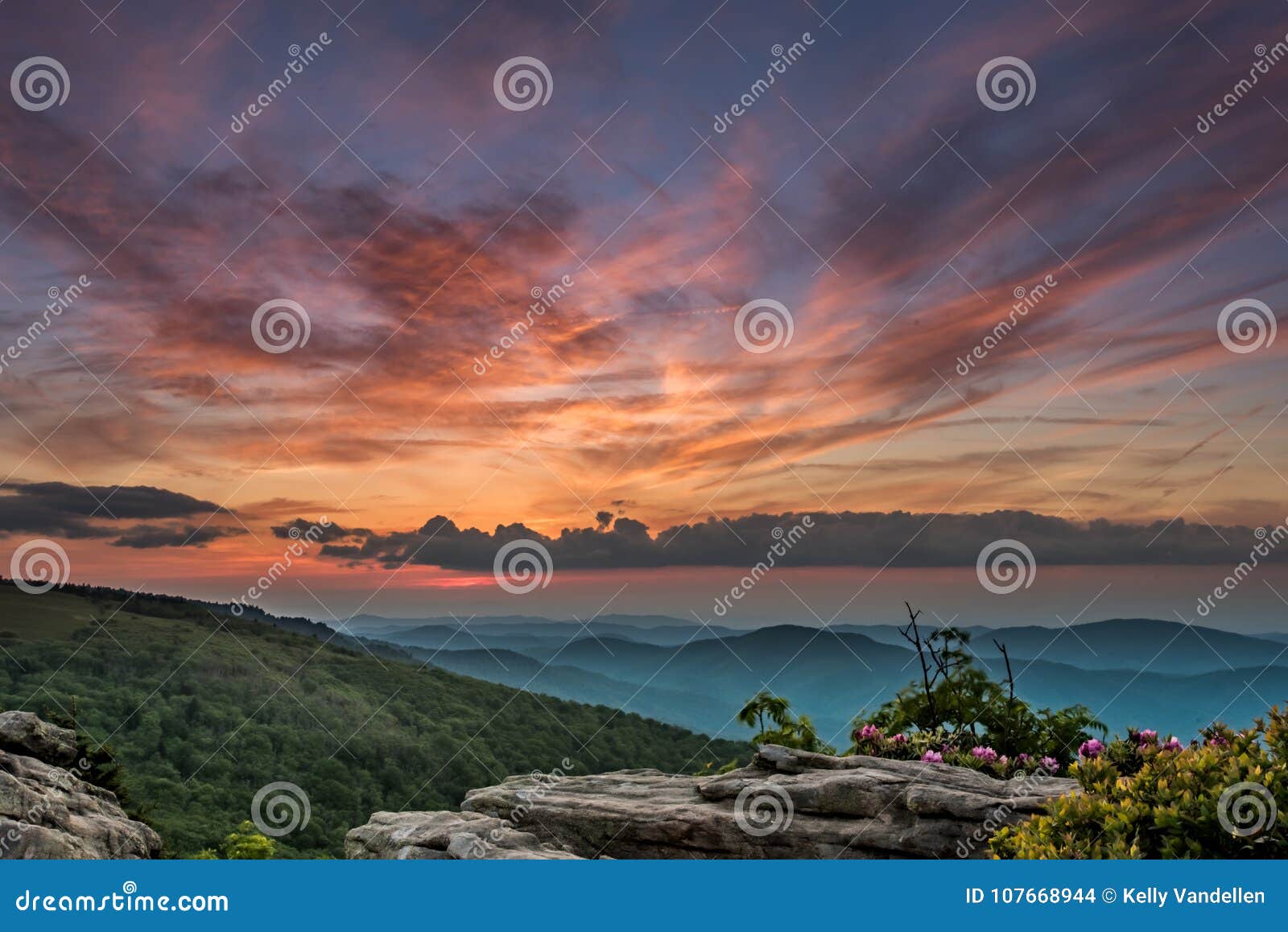 Puesta del sol sobre capas de cantos de la montaña con rododendro floreciente