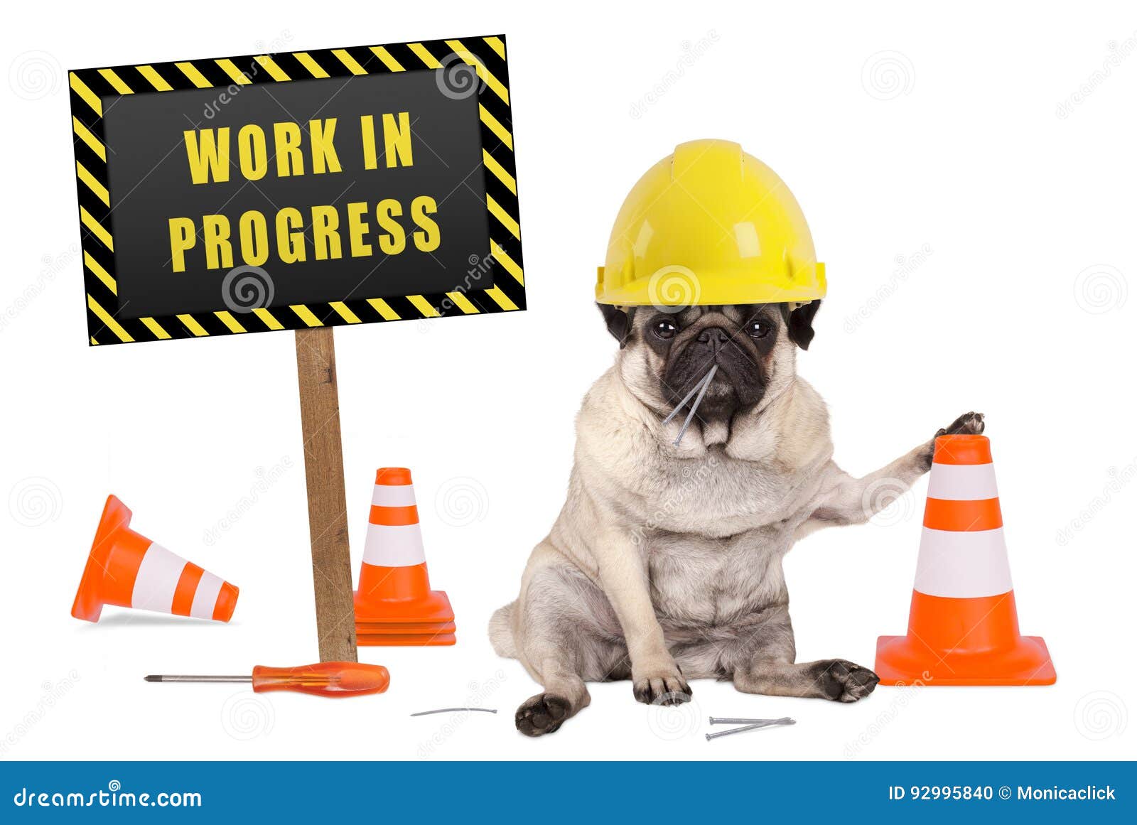pug dog with constructor safety helmet and yellow and black work in progress sign on wooden pole