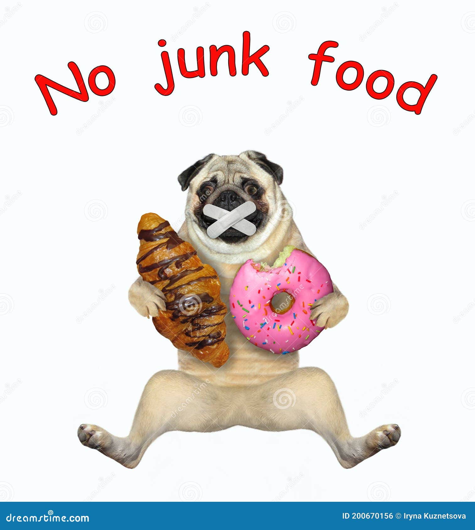 Pug Holds Croissant and Pink Donut Stock Photo - Image of funny, animal ...