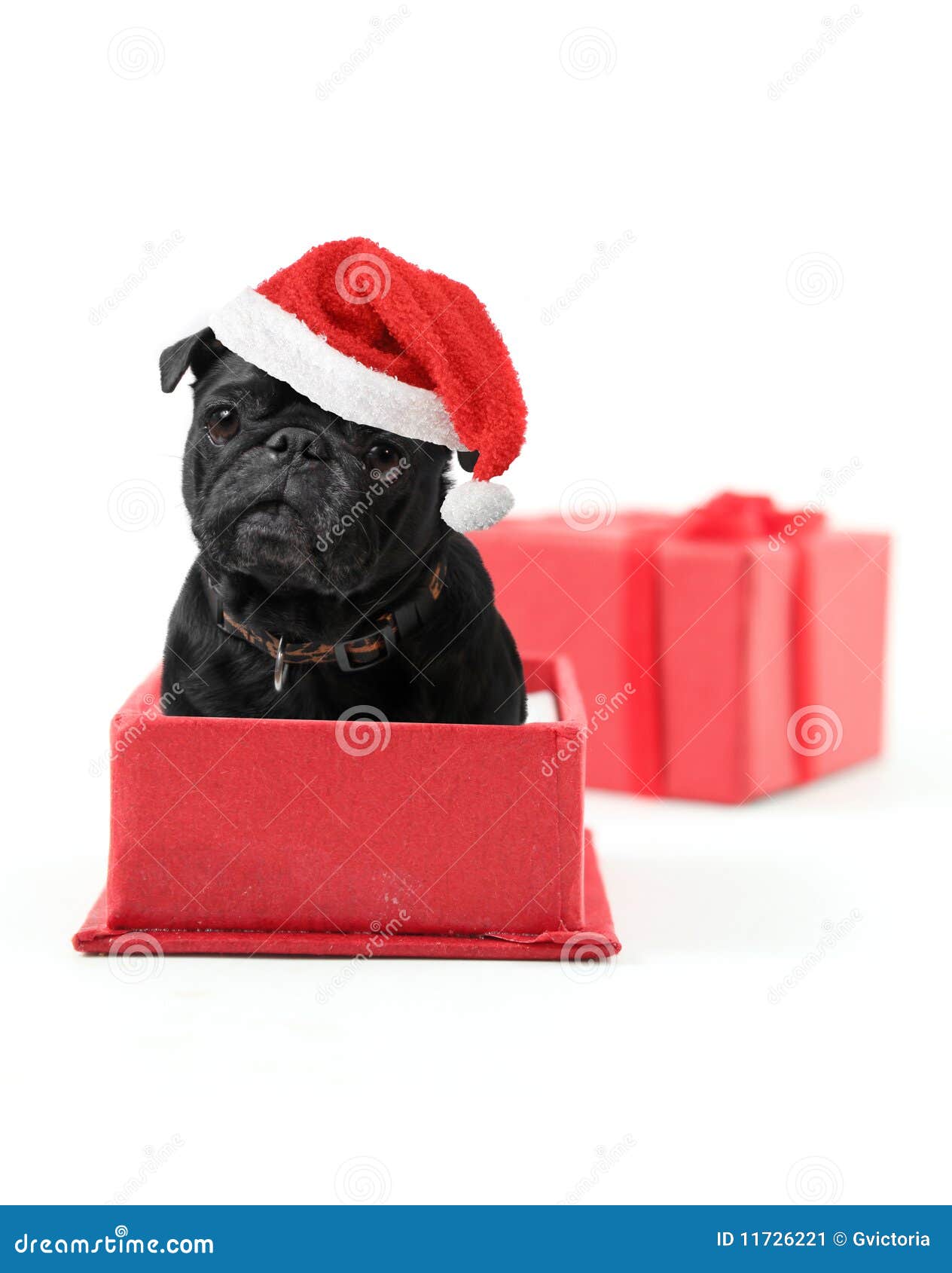 pug presents