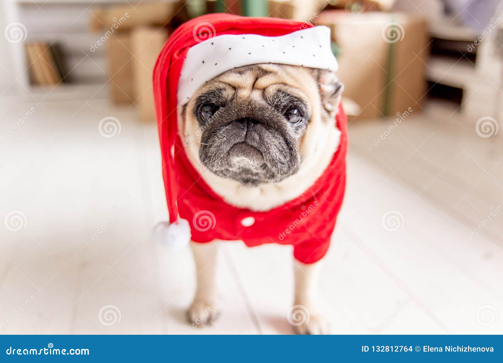 Droll Pug Christmas Tree Costume