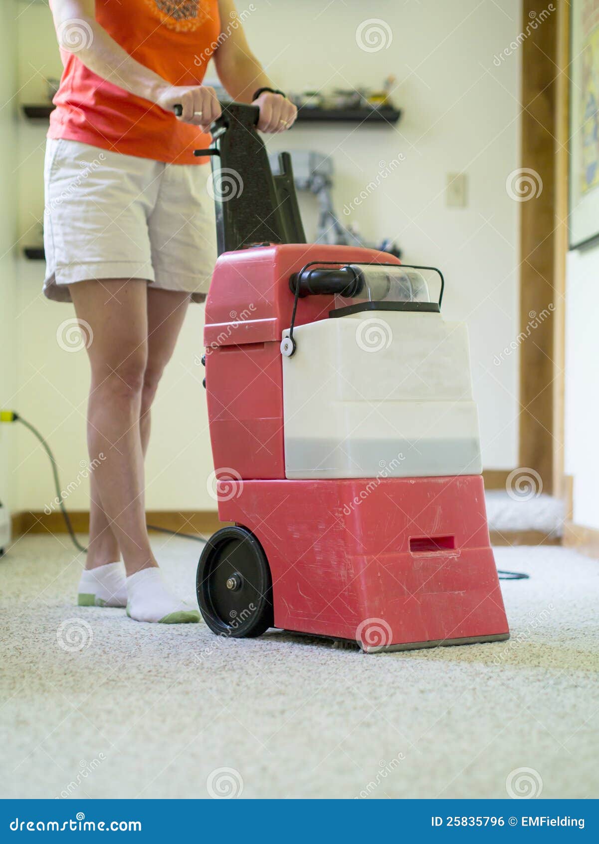 Spazzola Per Pulizia Tappeti E Divani - Doppio Rullo Per Briciole E Pelucchi - Foto 6