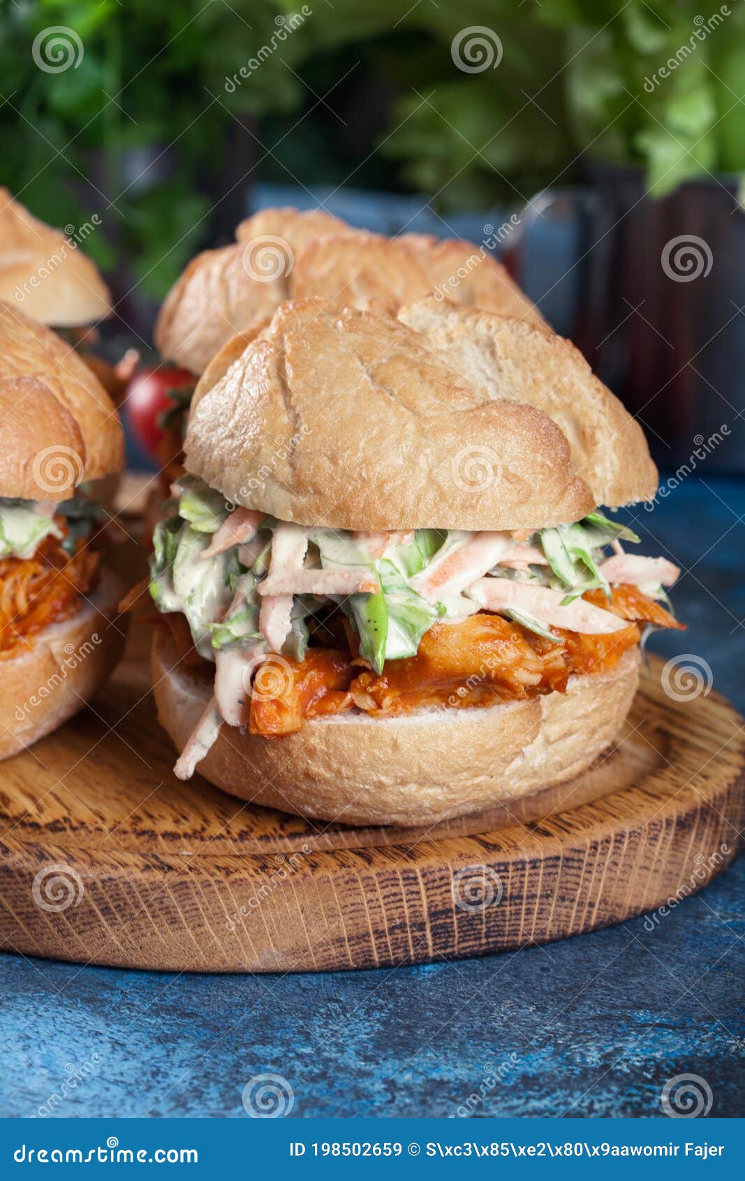 Pulled Chicken Sandwich with Salad and Bbq Sauce Stock Image Image of