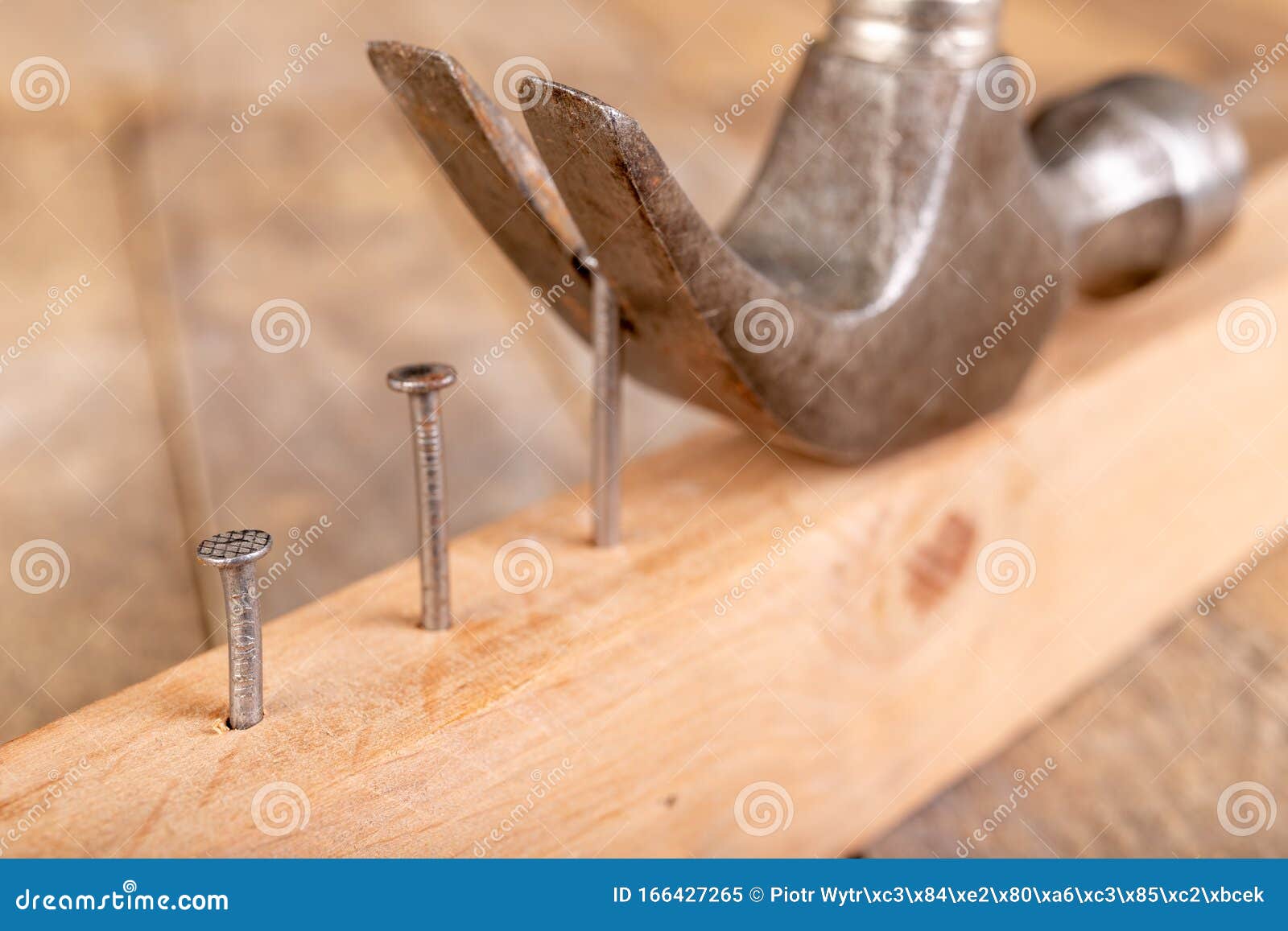 pulling out nails from a piece of wood using a carpenter& x27;s hammer. small carpentry work in the workshop