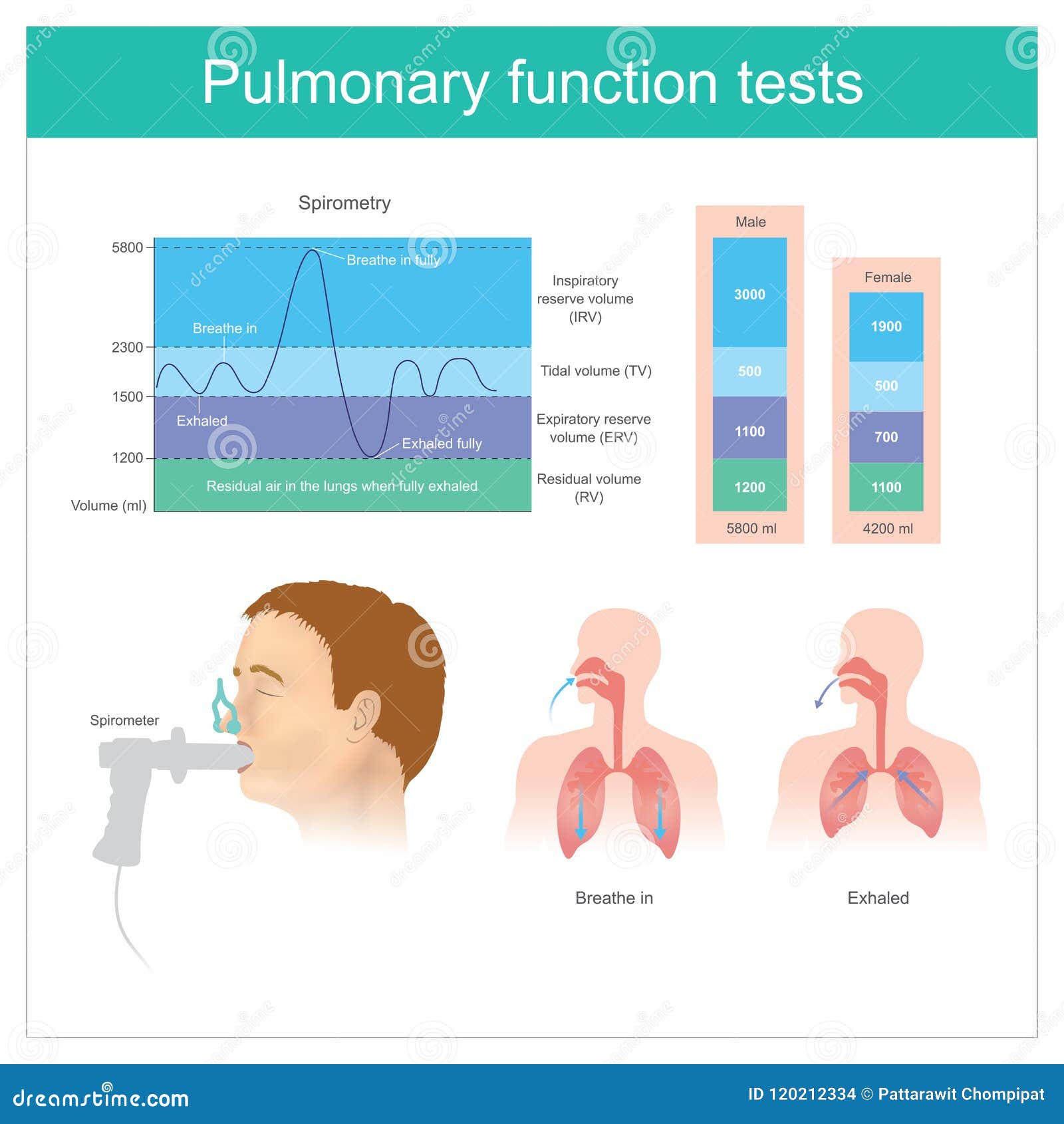 pulmonary function tests. testing for volume of air in the lungs