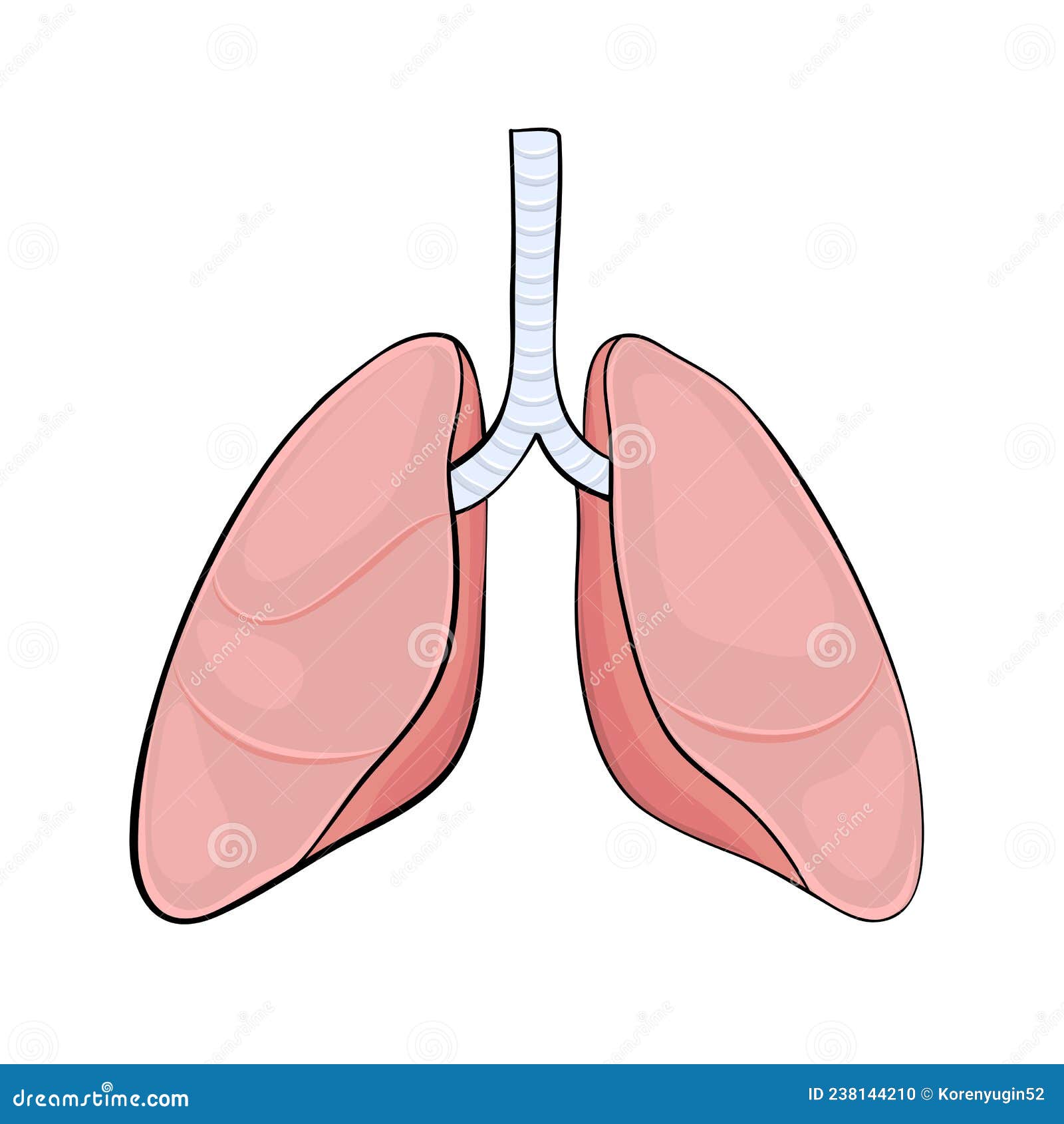 Pulmones Humanos En Dibujos Animados De Diseño Médico Ilustración del Vector - Ilustración de historieta, médico: 238144210 Pulmones Humanos En Dibujos Animados De Diseño Médico Ilustración del Vector - Ilustración de historieta, médico: 238144210