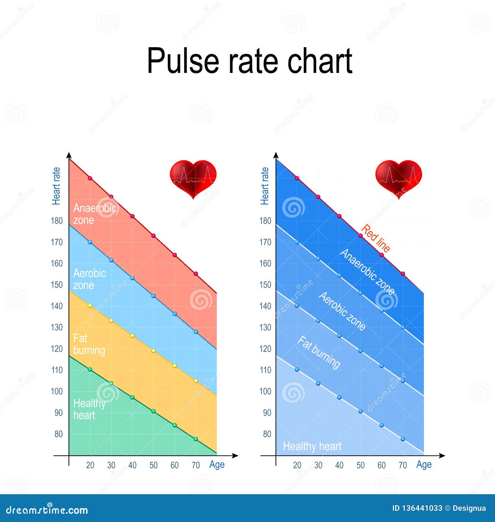 Heart And Pulse Rate Chart