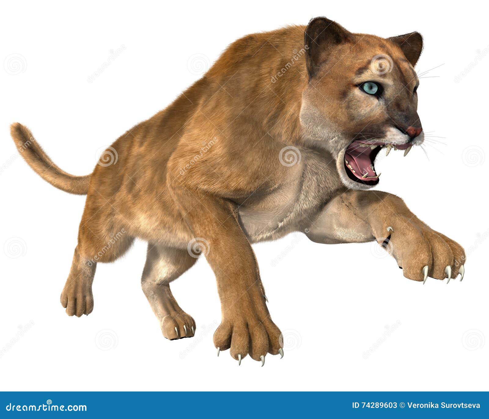 Puma de la caza aislado stock ilustración. bestia - 74289603