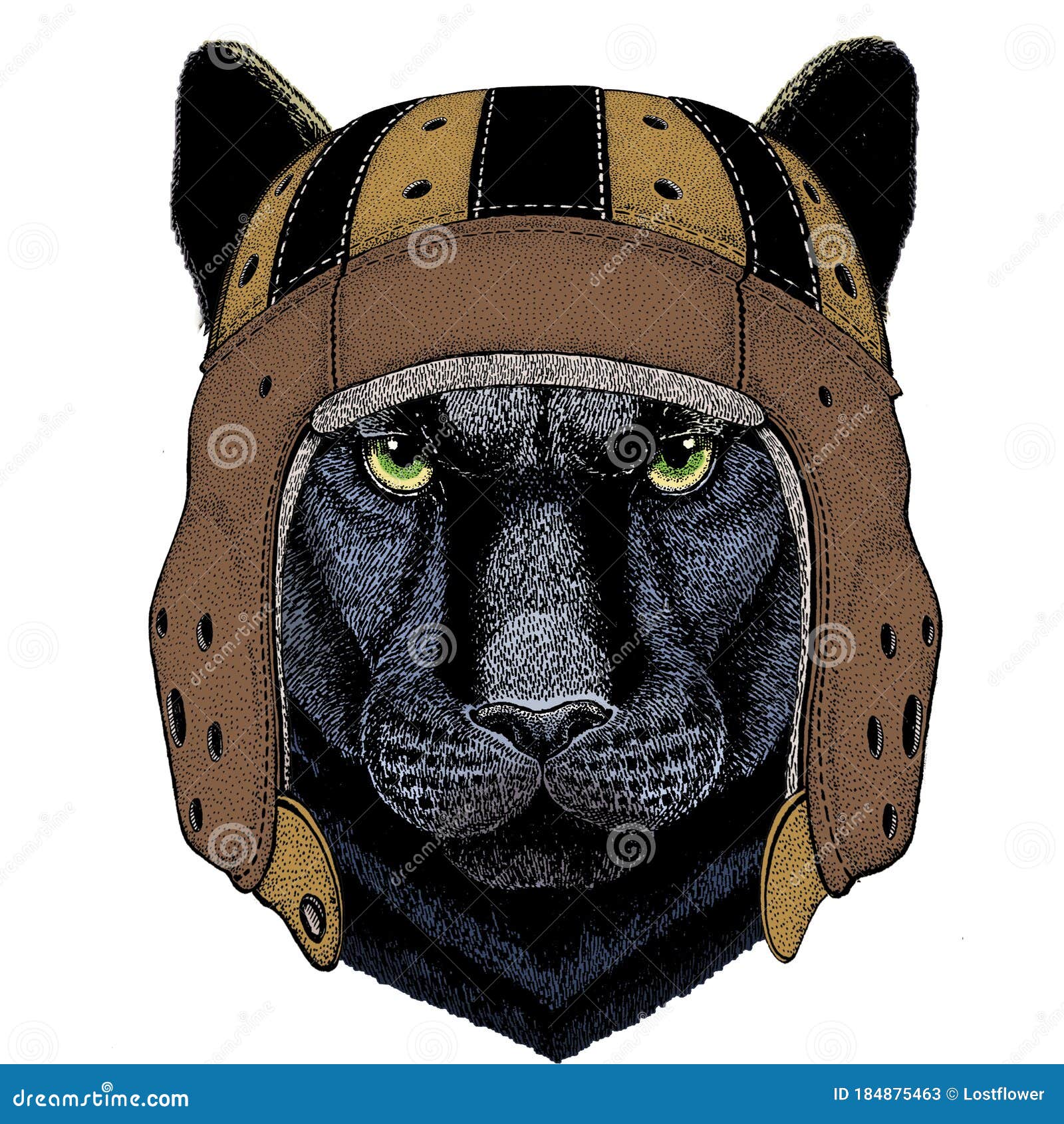 Puma De Pantera Negra. Casco De Cuero De Rugby. Cabeza De Animal. Retrato  De Gato Salvaje. Ilustración del Vector - Ilustración de juego, pantera:  184875463