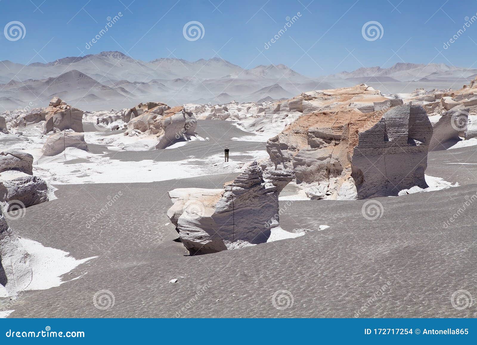 the pumice stone field at the puna de atacama, argentina