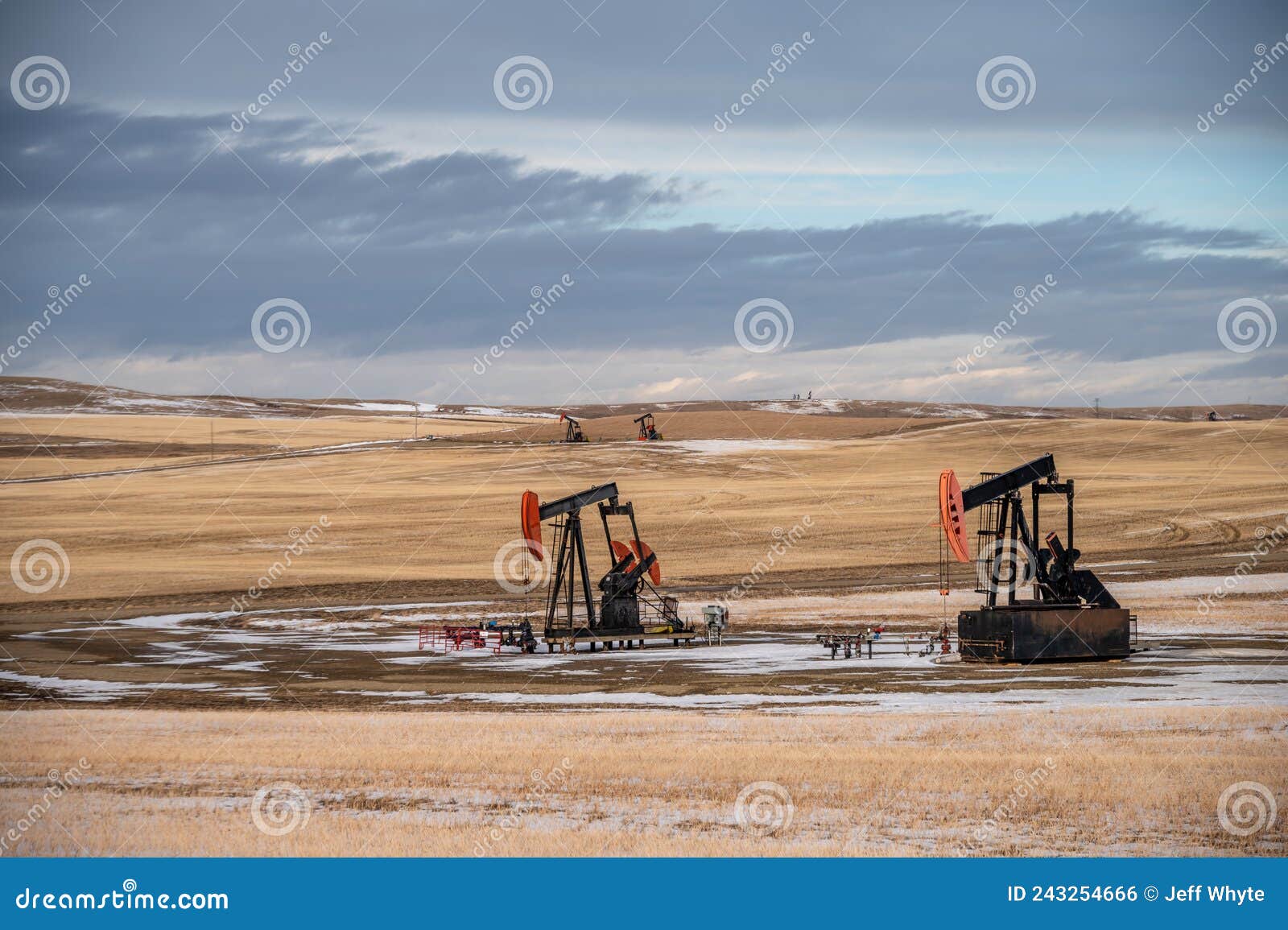 Pump Jacks Working in the Oilfields of Alberta Editorial Photo Image