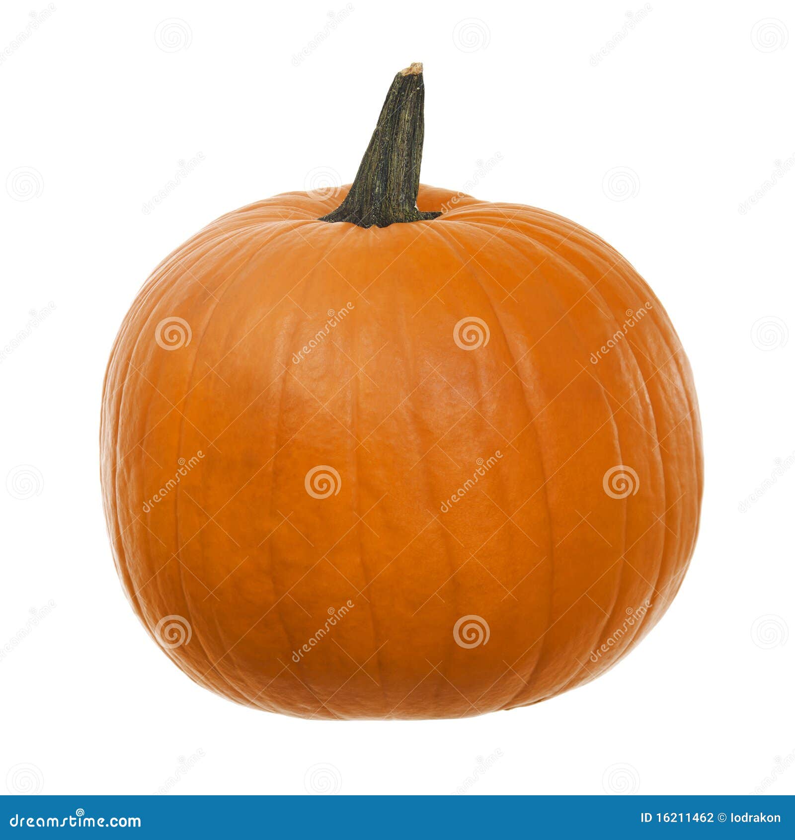 162 Stadium Pumpkin Stock Photos, High-Res Pictures, and Images