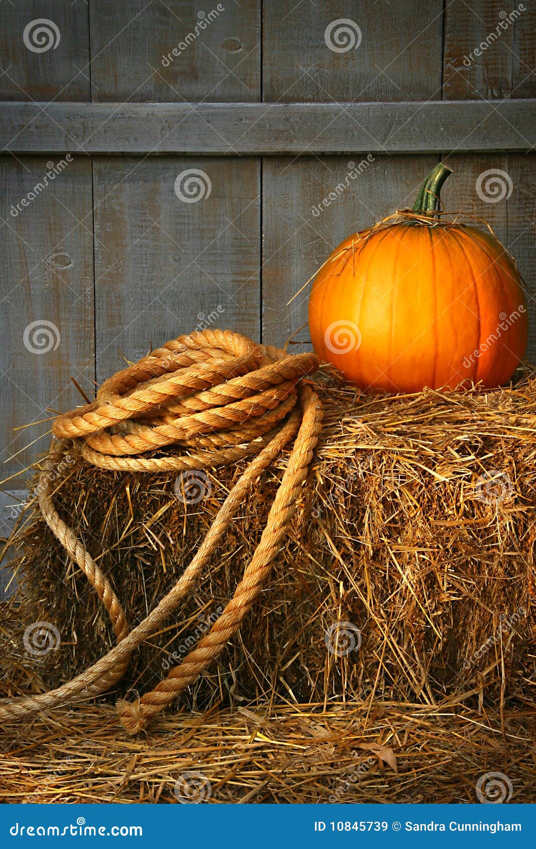Pumpkin on a bale of hay stock image. Image of fall, seasonal 10845739