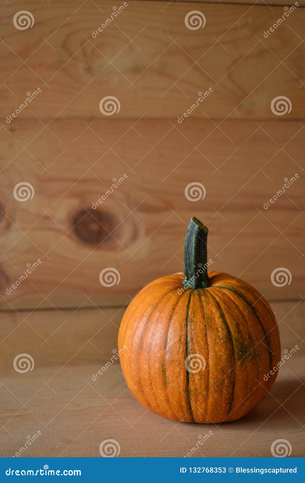 A Pumpkin On Barn Board Stock Image Image Of Seeds 132768353