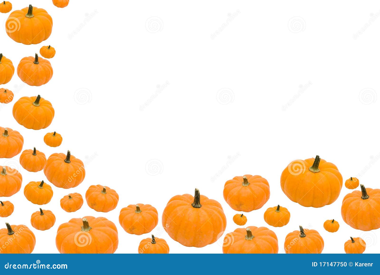 Pumpkin Border Stock Photo - Image: 17147750
