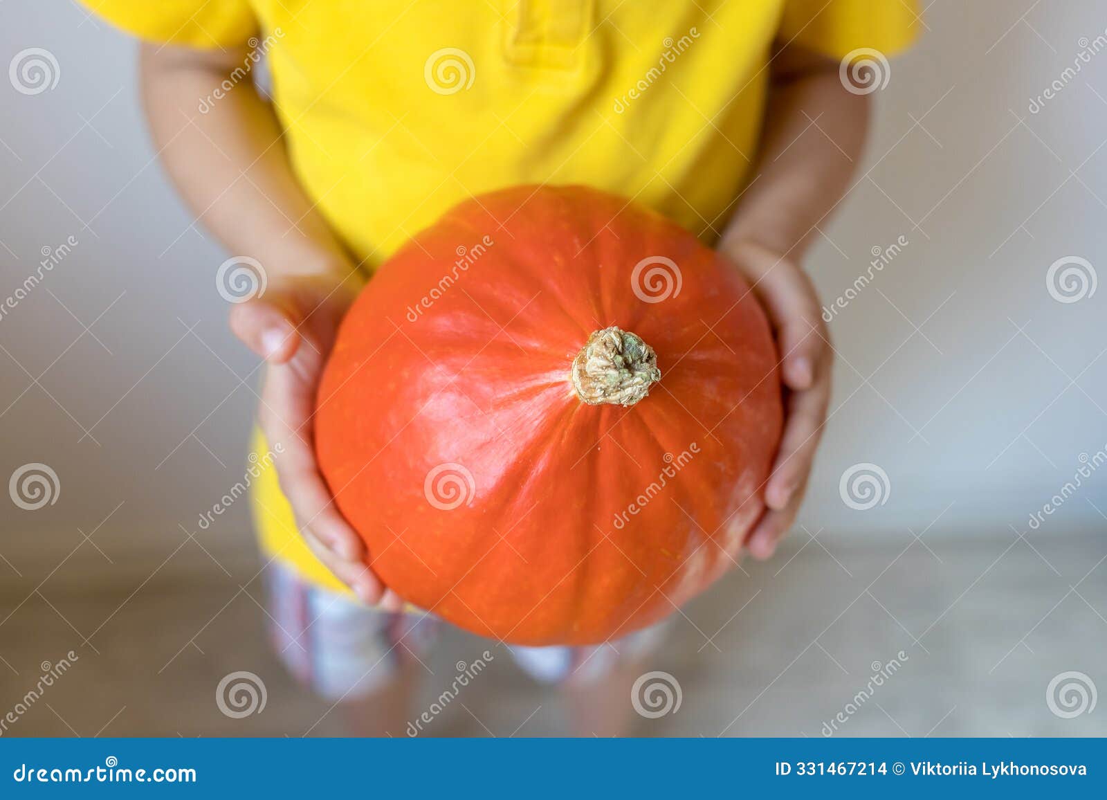 pumpkin in boy's hands close-up. halloween and thankgiving concept