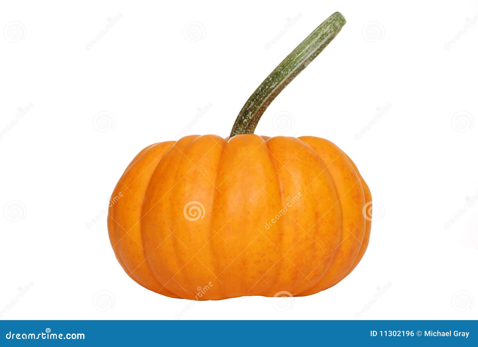 pumpkin gourd