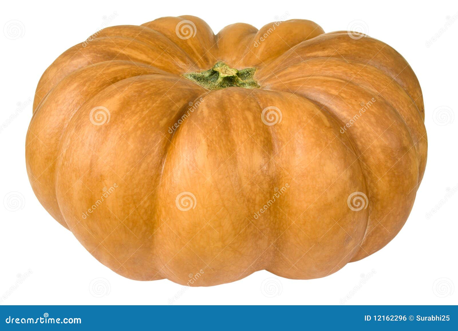 Pumpkin, gourd stock photo. Image of large, october, isolated 12162296