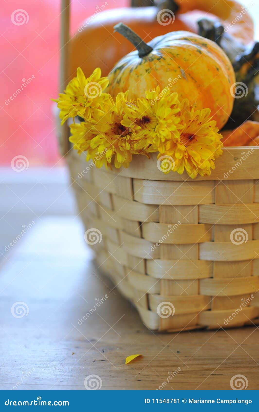 Pumpkin, Gourds and Yellow Mums in Basket Stock Image Image of mums