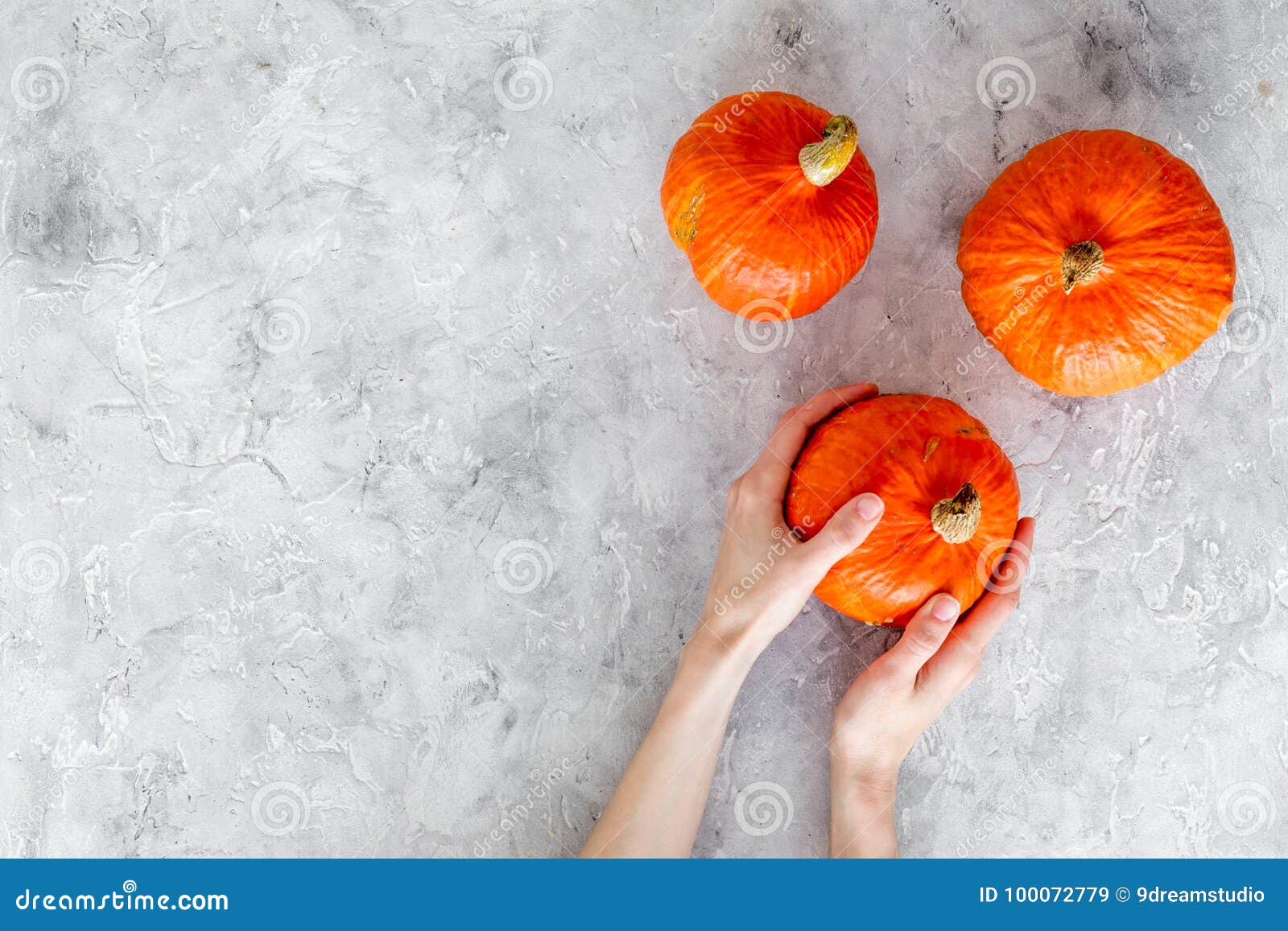 pumpkin harvest. hand hold pumpkin on grey background top view copyspace