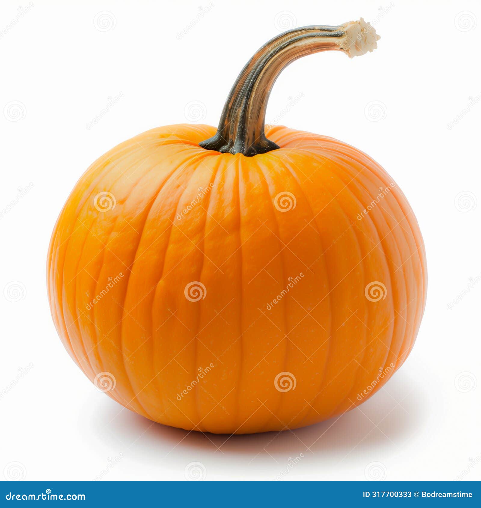pumpkin halloween orange clean no blemishes large root clear white background