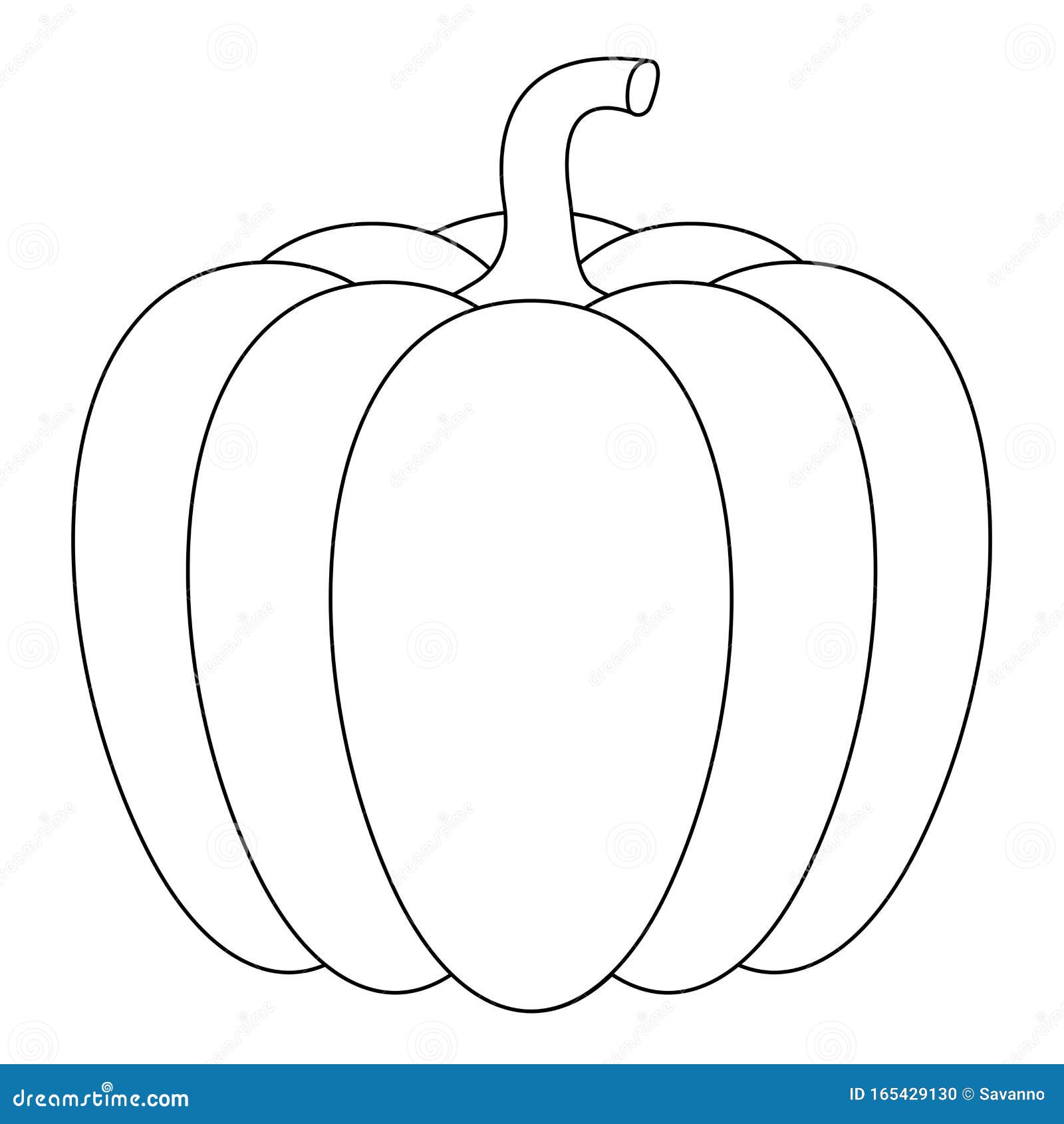 Pumpkin. Outline drawing stock vector. Illustration of harvest - 165429130