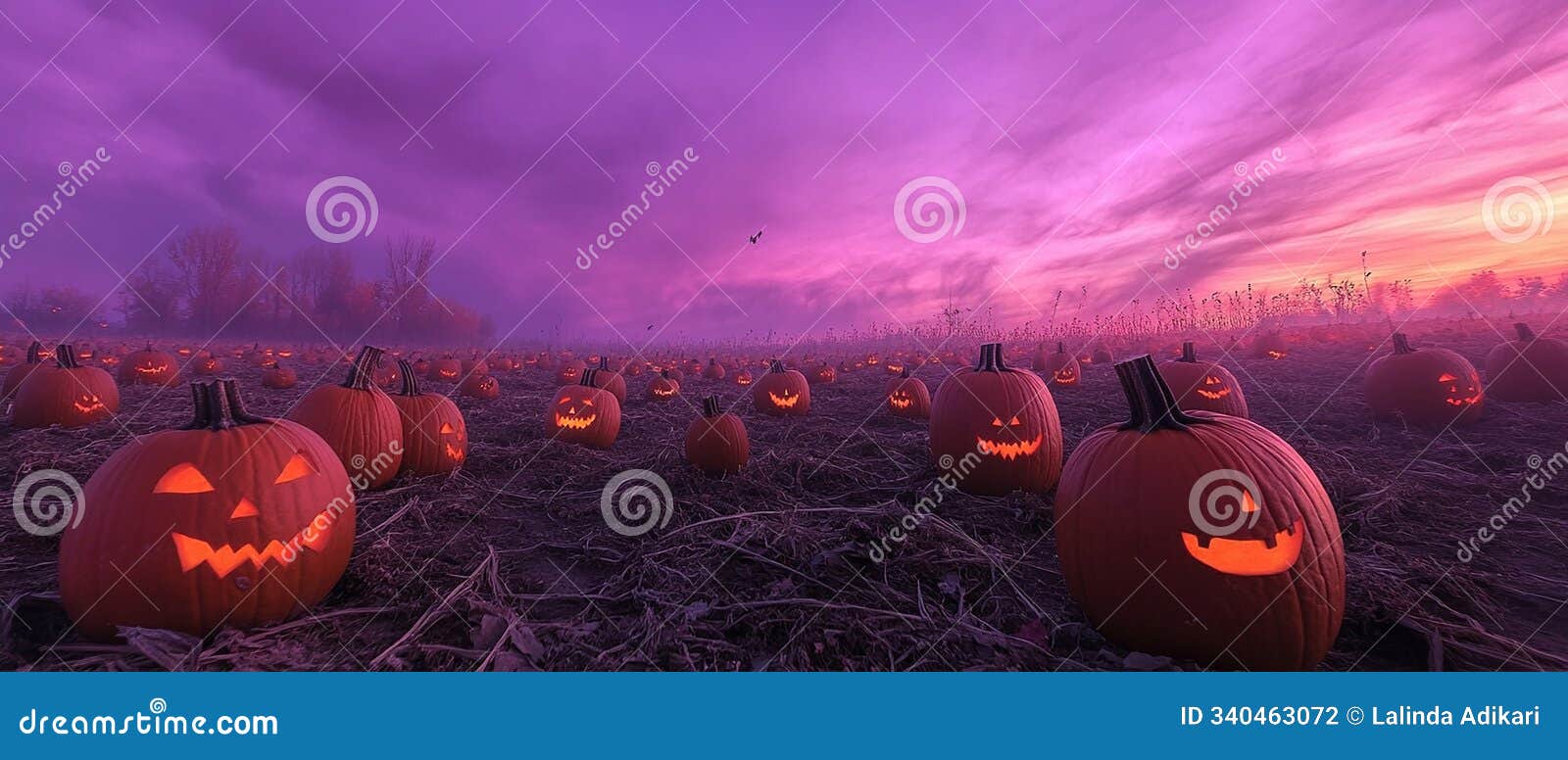 pumpkin patch full of jack-o'-lanterns under a full moon