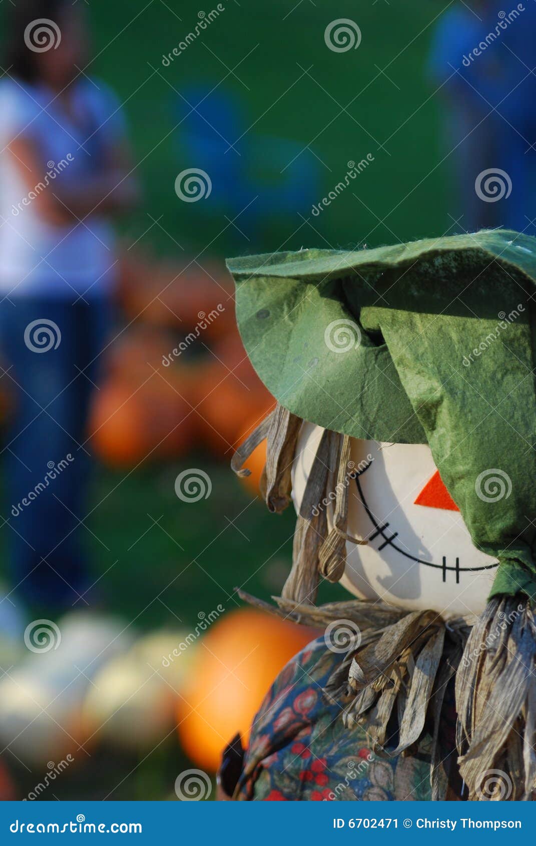 Pumpkin patch scarecrow 2 stock image. Image of shop, orange - 6702471