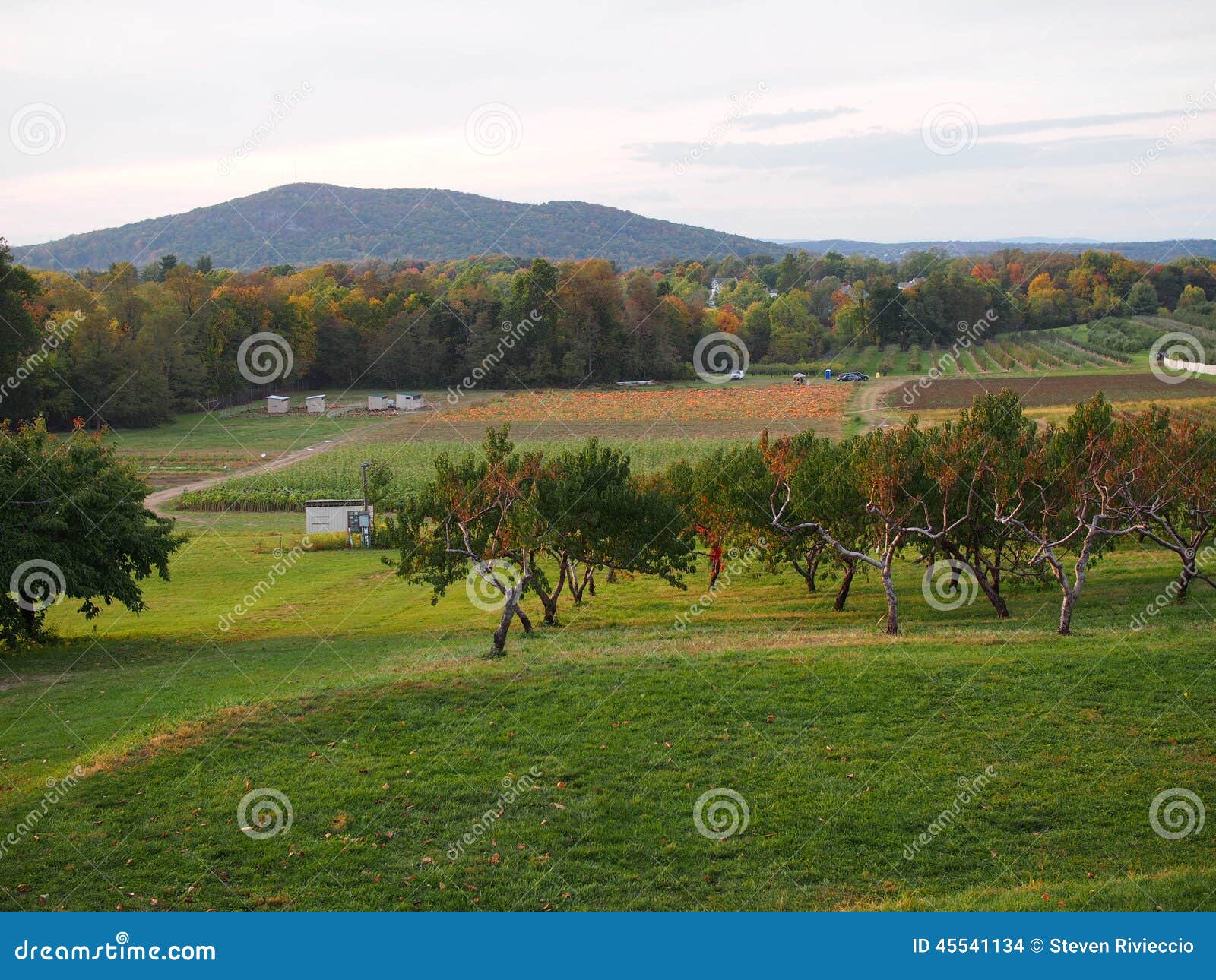 180+ Upstate New York Farm Stock Photos, Pictures & Royalty-Free