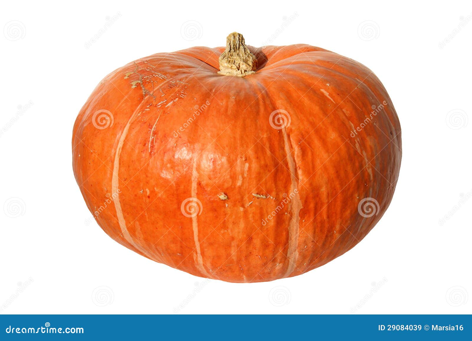 pumpkin with peduncle