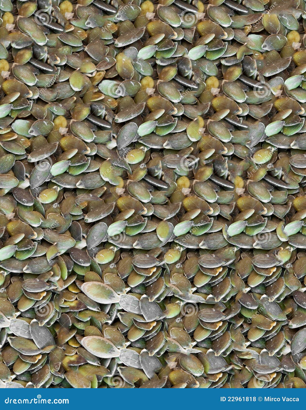 Pumpkin seeds stock photo. Image of shell, snack, health 22961818