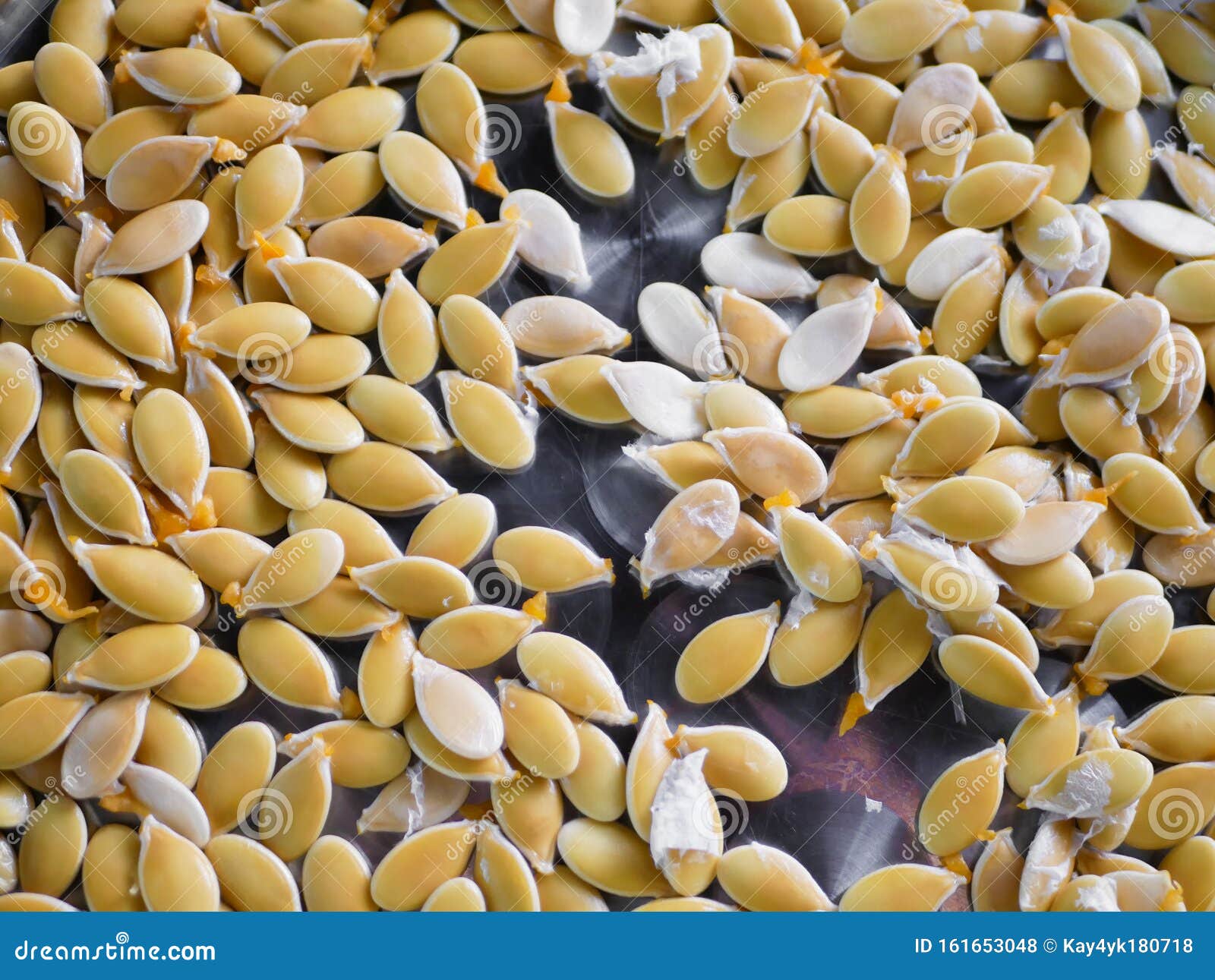 Pumpkin Seeds. Dried on a Baking Sheet Stock Photo Image of