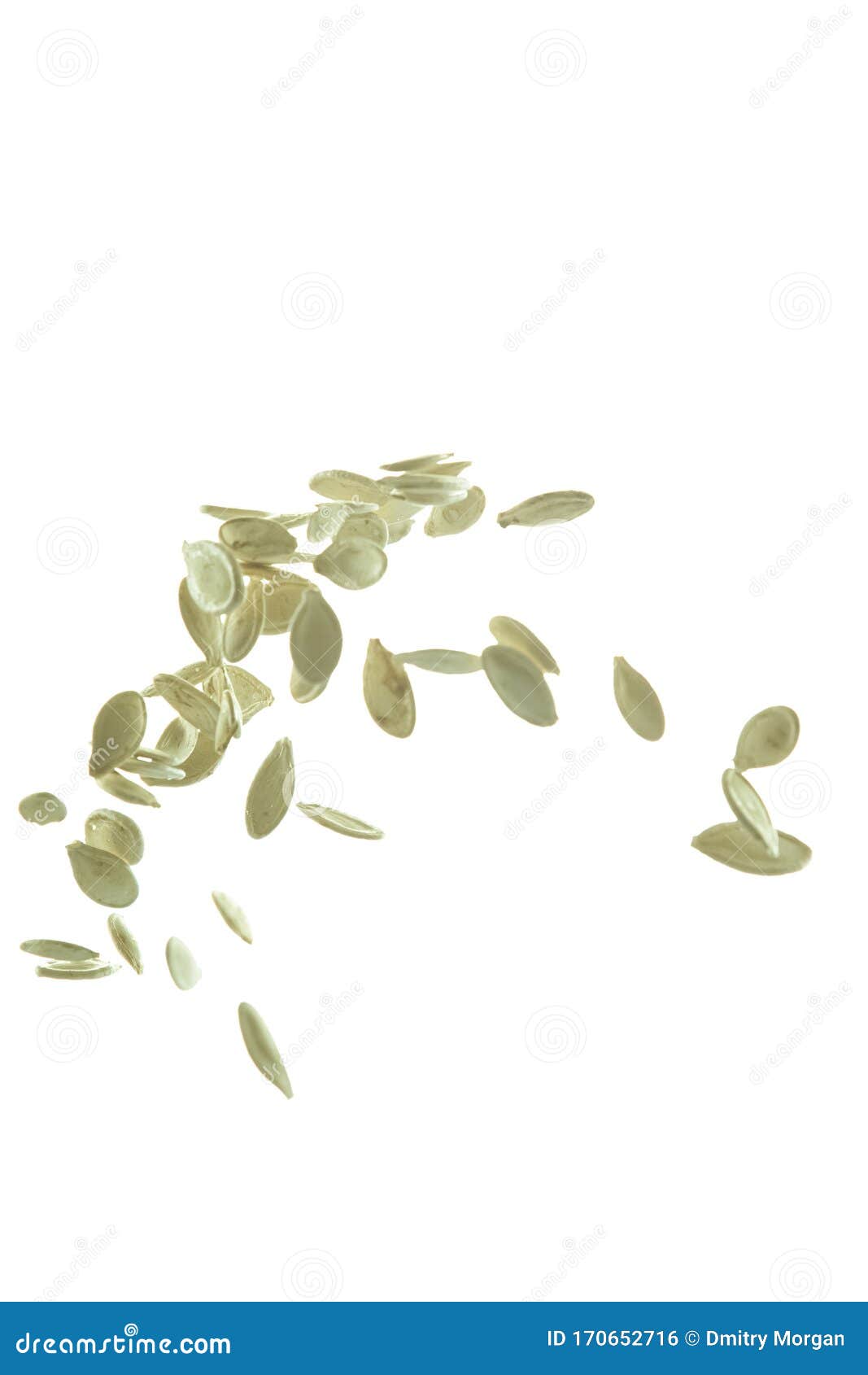 pumpkin seeds falling in free motion bulk.  over white background
