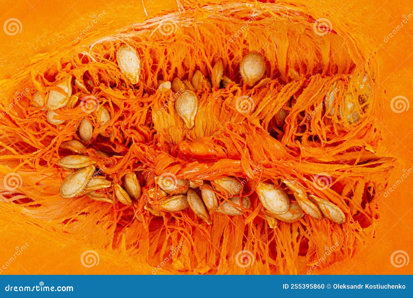 Pumpkin Seeds Inside a Cut Fruit Stock Photo Image of healthy