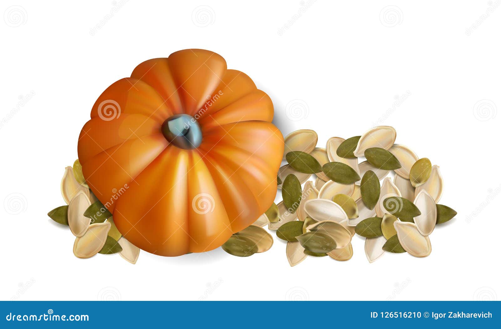 Pumpkin Seeds on White Background. Stock Vector - Illustration of heap