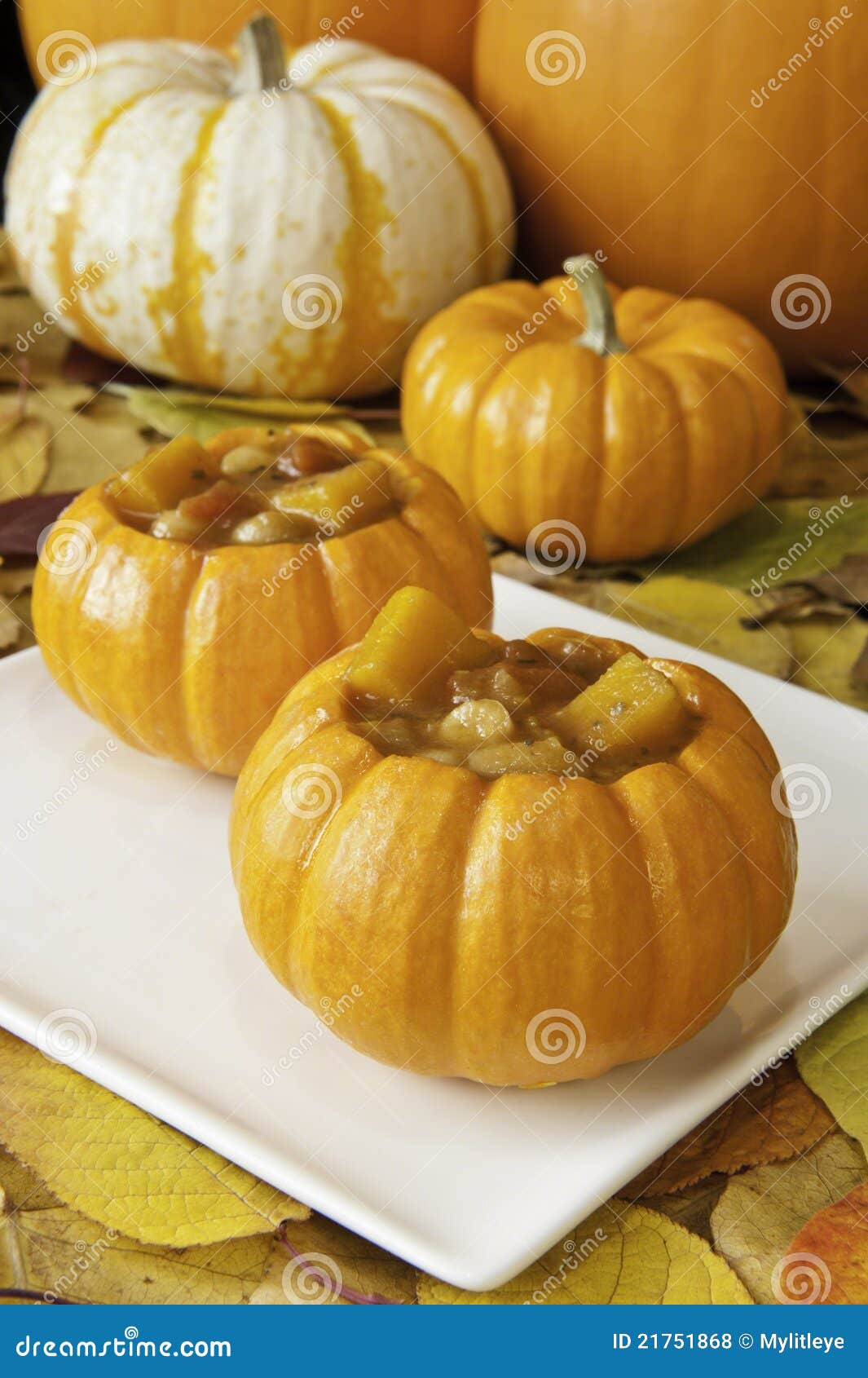 Pumpkin Soup Bowls stock photo. Image of squash, vegetable 21751868