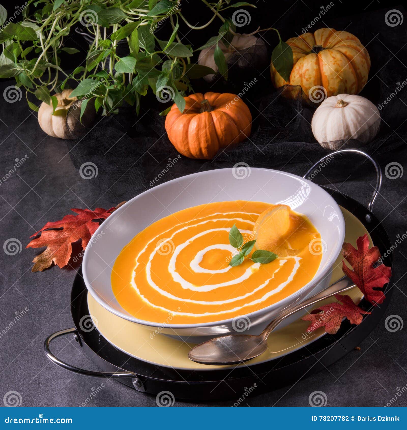 Pumpkin Soup with orange stock photo. Image of bowl, halloween 78207782