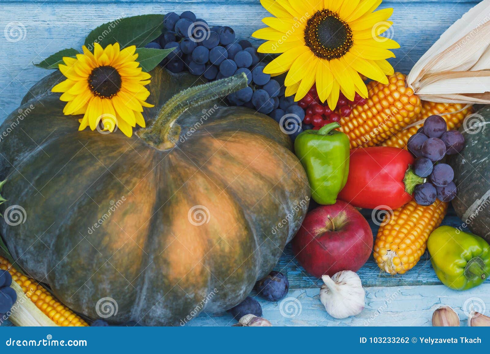 Pumpkin, Sunflowers and Different Ripe Vegetables Stock Photo - Image ...