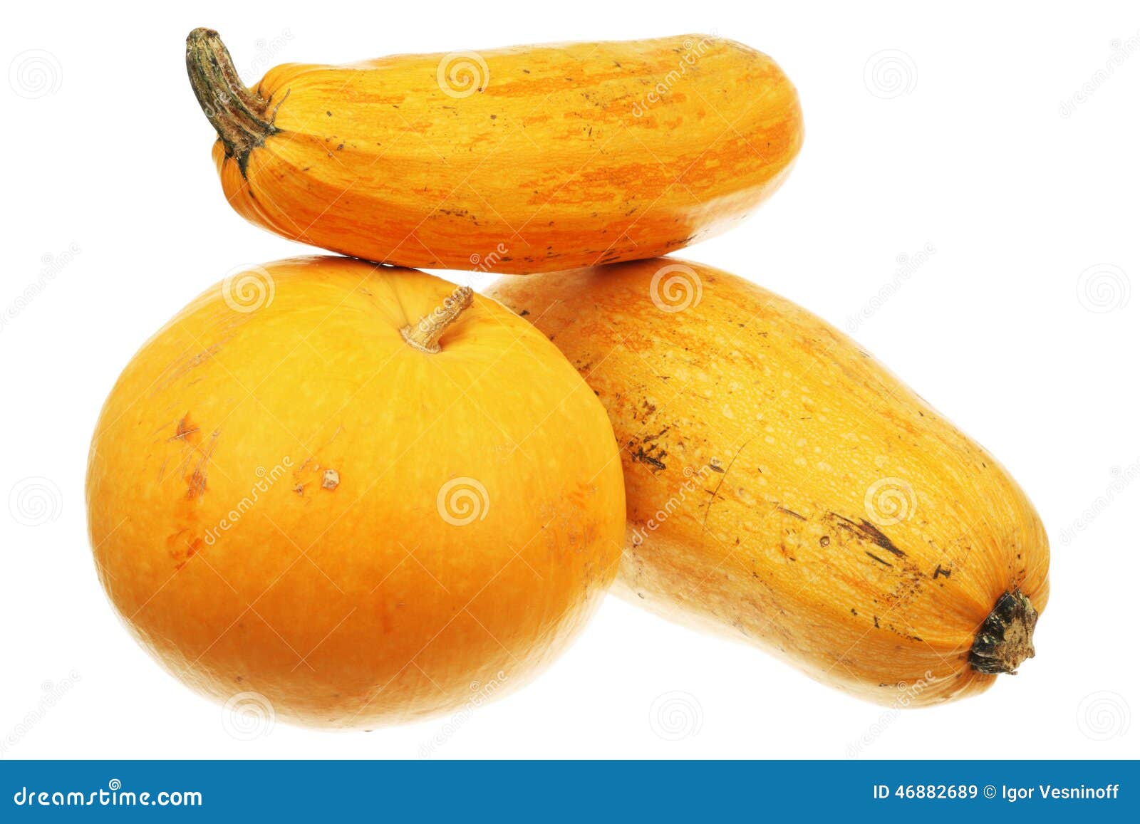 Pumpkin and two zucchini stock image. Image of marrow 46882689