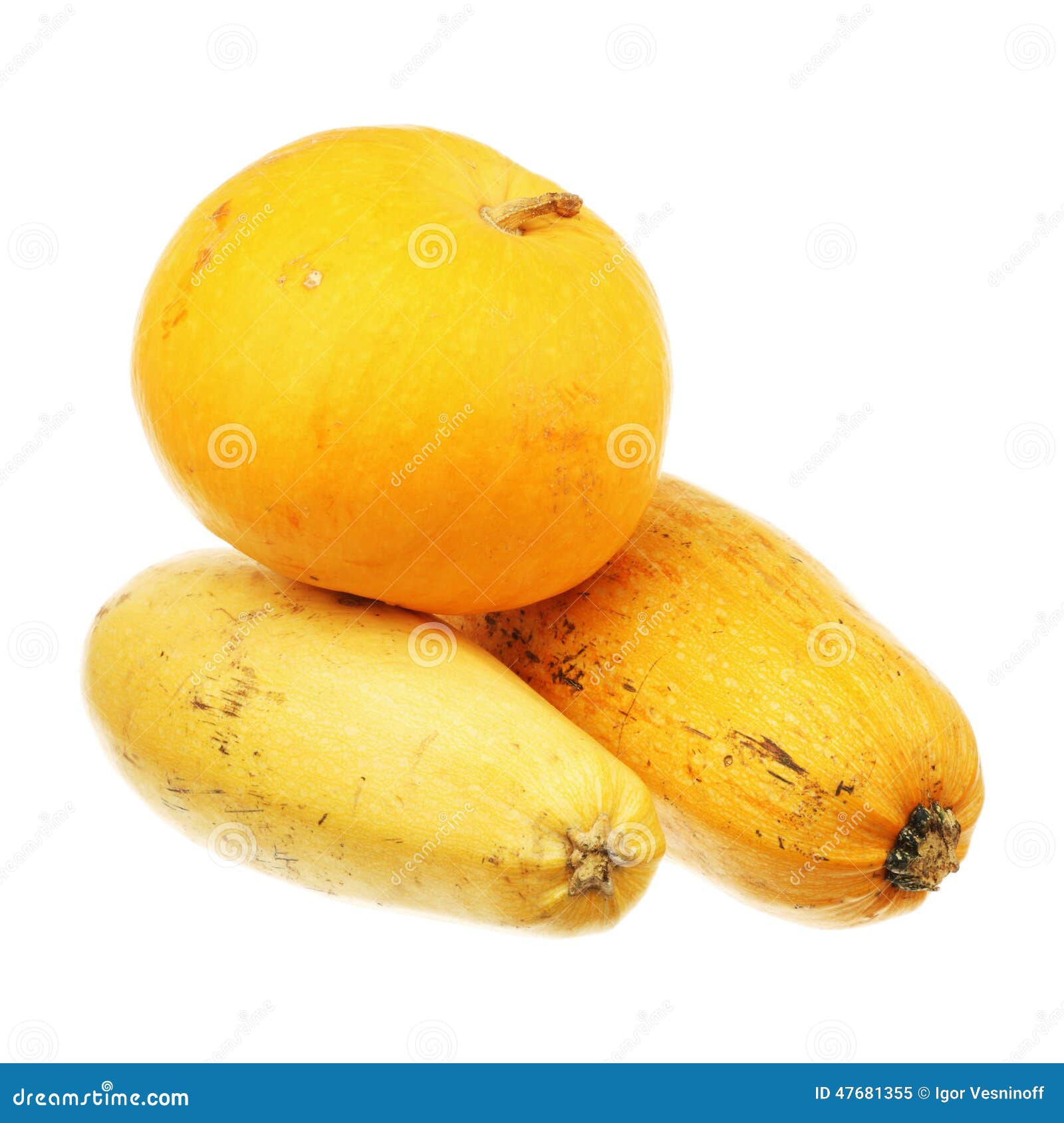 Pumpkin and two zucchini stock image. Image of tasty 47681355