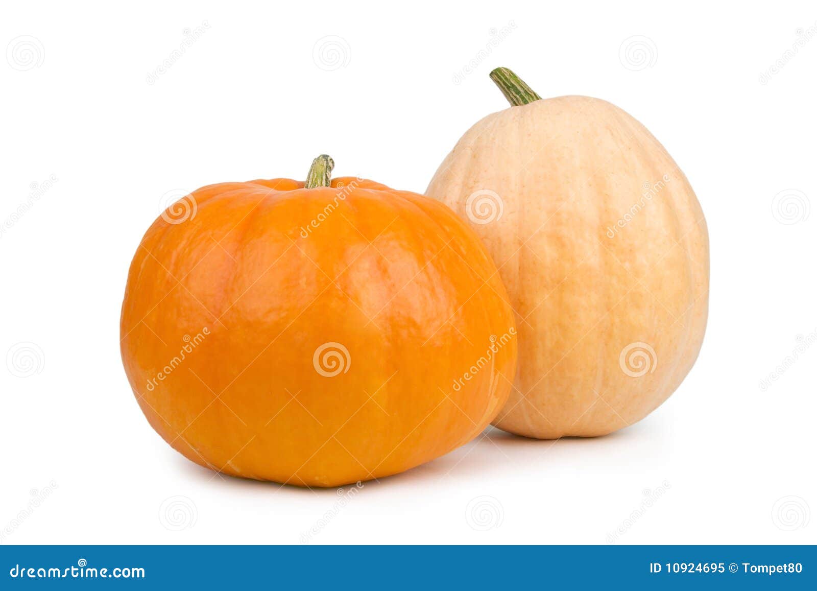 Pumpkin vegetable stock image. Image of green, gourd 10924695