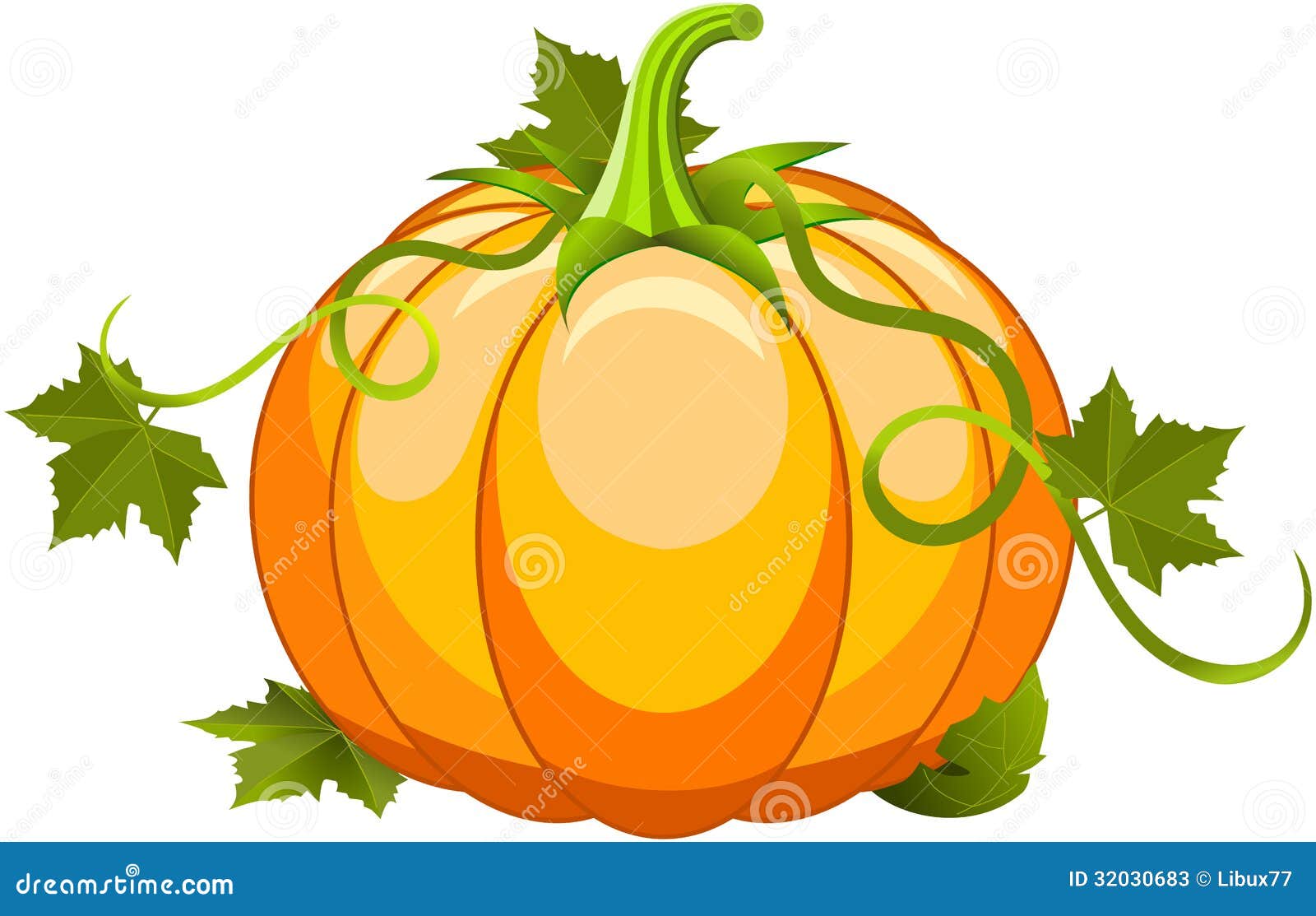 pumpkin vegetable fruit