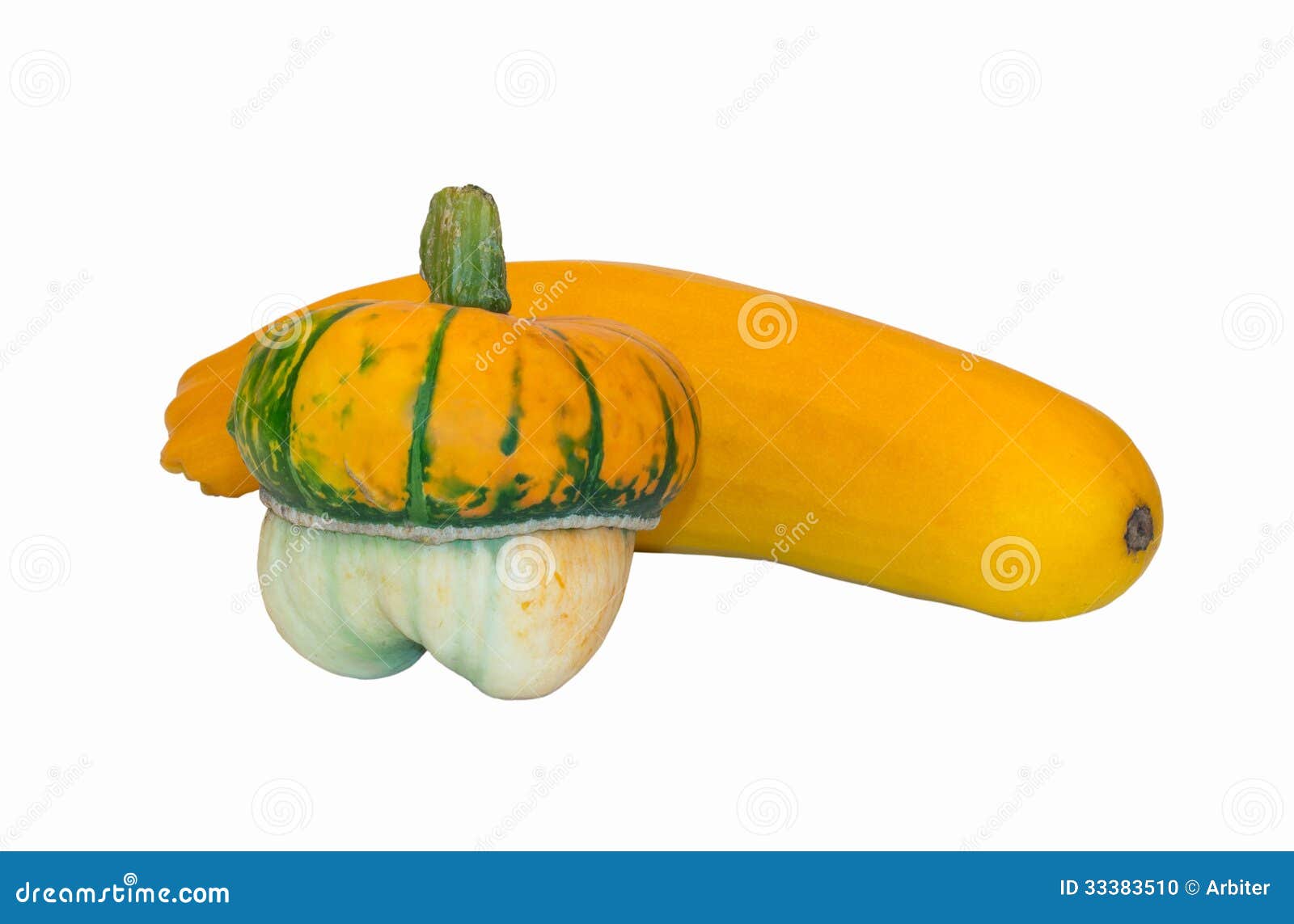 Pumpkin and zucchini stock photo. Image of vitamins, white 33383510